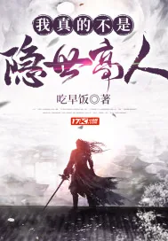 《我真的不是隐世高人》小说封面
