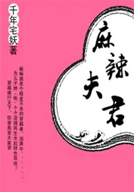 《麻辣夫君》小说封面