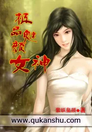 《极品魅颜女神》小说封面
