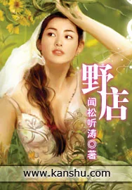 《野店》小说封面