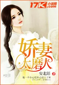 《娇妻太磨人》小说封面