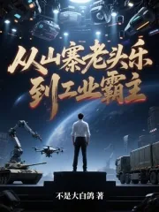 《从山寨老头乐，到工业霸主》小说封面