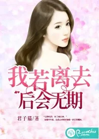 《我若离去，后会无期》小说封面