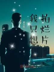《我只想拍烂片》小说封面