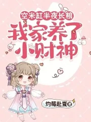 《空米缸半夜长粮，我家养了小财神》小说封面