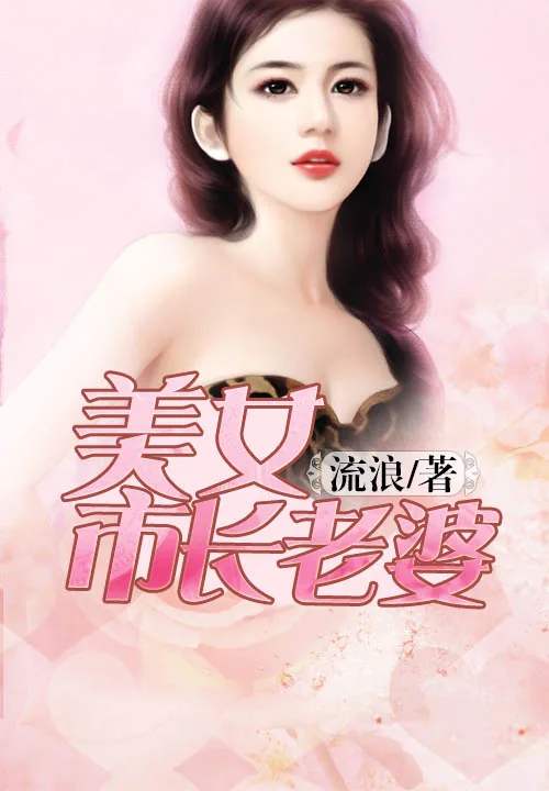 《美女市长老婆》小说封面
