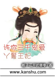 《许你三千宠爱丫鬟王妃》小说封面