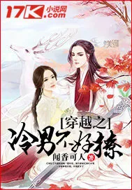 《穿越之冷男不好撩》小说封面