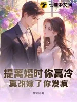 《提离婚时你高冷,真改嫁了你发疯》小说封面