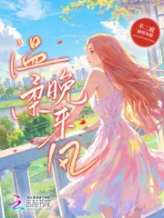 《温柔晚来风》小说封面