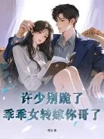 《许少别跪了，乖乖女转嫁你哥了》小说封面