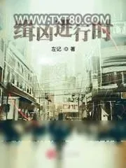 《缉凶进行时》小说封面
