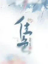 《佳色》小说封面
