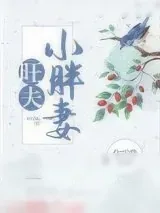 《旺夫小胖妻》小说封面