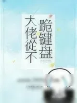 《大佬从不跪键盘》小说封面