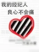 《我的经纪人良心不会痛》小说封面