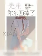 《先生你东西掉了[重生]》小说封面