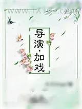 《导演，加戏》小说封面