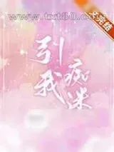 《引我痴迷》小说封面