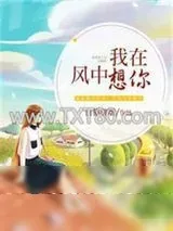 《我在风中想你》小说封面