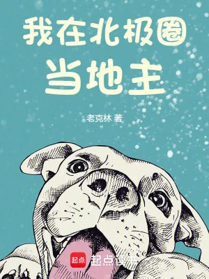 《我在北极圈当地主》小说封面