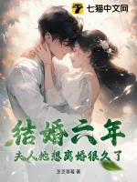 《结婚六年，夫人她想离婚很久了》小说封面
