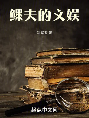 《鳏夫的文娱》小说封面