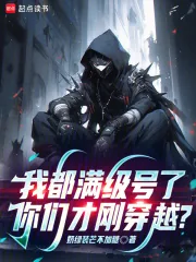 《我都满级号了，你们才刚穿越？》小说封面