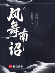 《风舞南诏》小说封面