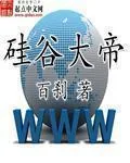 《硅谷大帝》小说封面