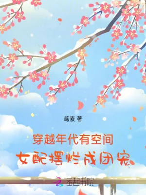 《穿越年代有空间，女配摆烂成团宠》小说封面