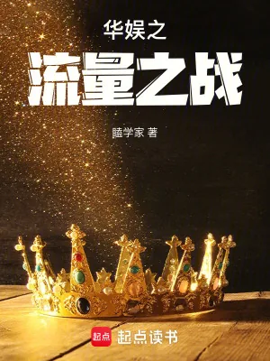 《华娱之流量之战》小说封面