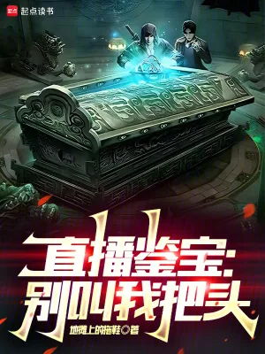 《直播鉴宝:别叫我把头》小说封面