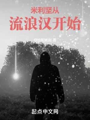 《美利坚从流浪汉开始逆袭》小说封面