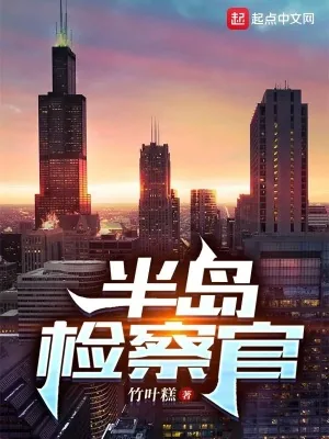 《半岛检察官》小说封面