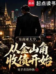 《东南亚教父，从金山角收债开始》小说封面