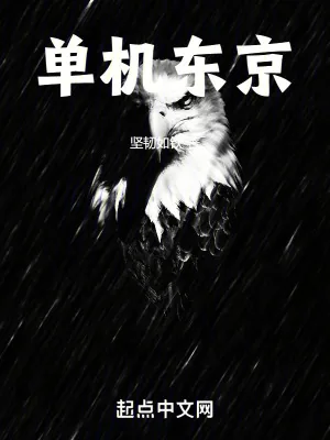 《单机东京》小说封面