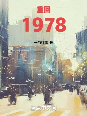 《重回1978》小说封面