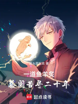 《一道鱼羊炙，蔡阑苦寻二十年》小说封面