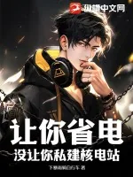 《让你省电，没让你私建核电站》小说封面