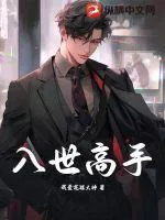 《入世高手》小说封面