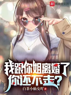 《我跟你姐离婚了，你还不走？》小说封面