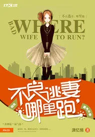 《不良逃妻，哪里跑》小说封面