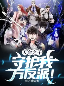 《天命之子:守护我方反派!》小说封面