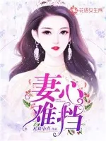 《妻心难挡》小说封面