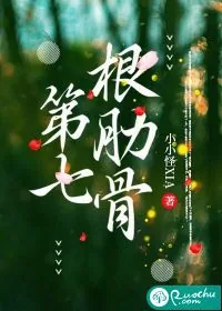 《第七根肋骨》小说封面