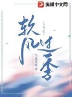《软风过季》小说封面