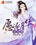 《愿逐月华流赵君》小说封面