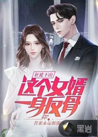 《狂徒下山：这个女婿一身反骨》小说封面