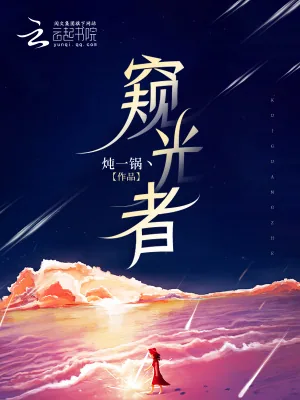 《窥光者》小说封面